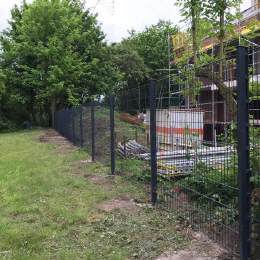 Bild 12 