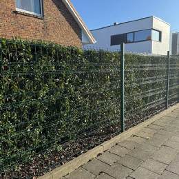 Bild 5 